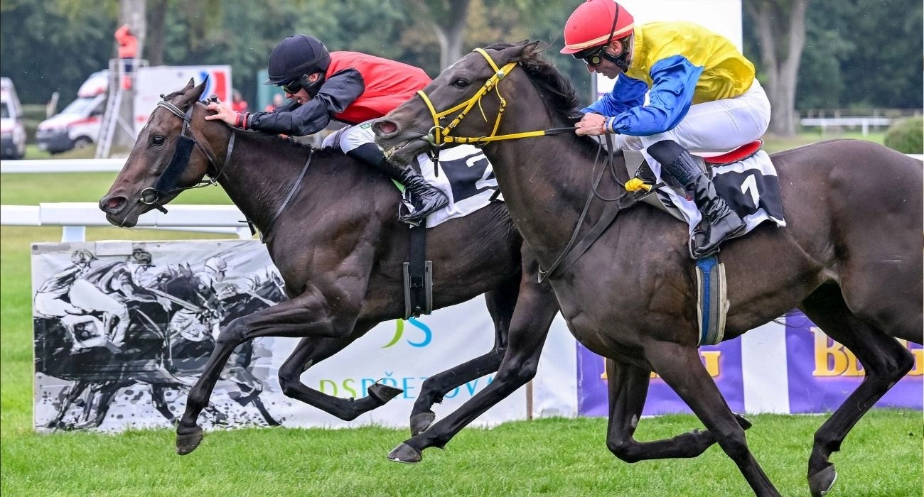 Bratislava Racecourse during a race day.