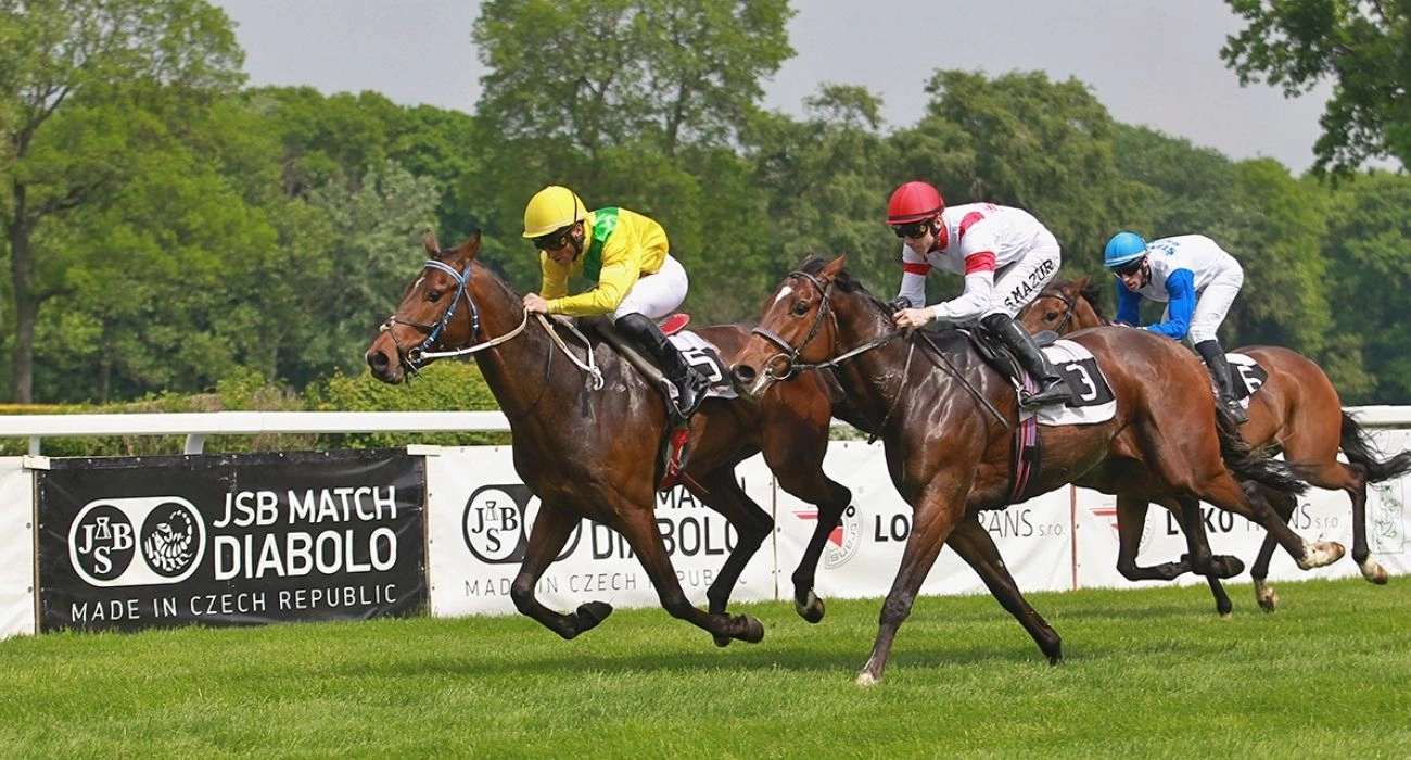 Beyond Castles and Cafés: Slovakia Has a Horse Racing Culture Most Tourists Never Discover