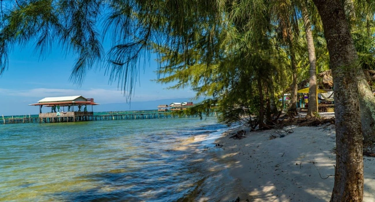 Beyond Marina Bay: Singapore Has a Hidden Jungle Most Travelers Ignore