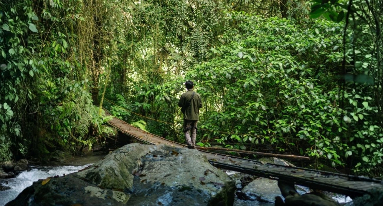 The Rise of Regenerative Tourism and the Future of Meaningful Travel