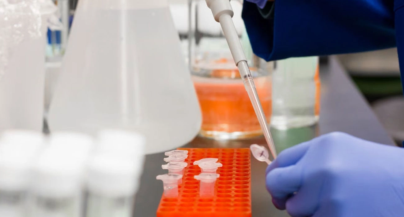 The Rise of Biotech Startups: How Science Is Creating the Next Generation of Healthcare