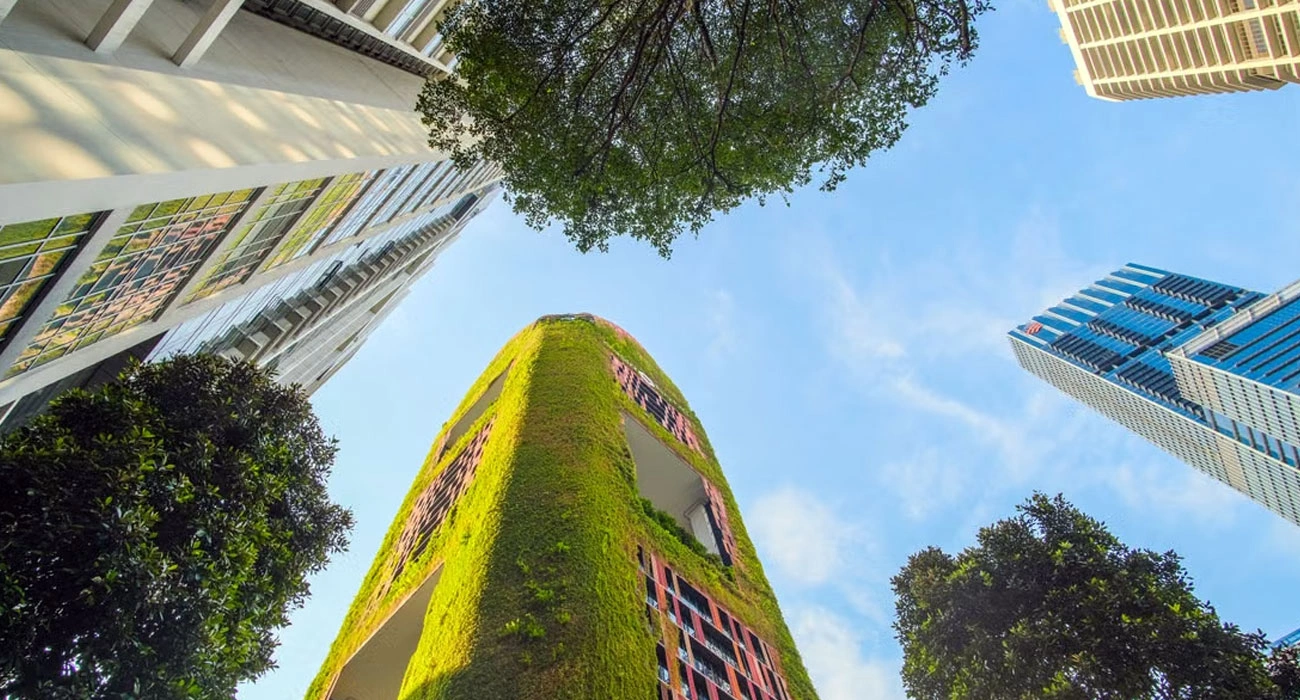 How Sustainable Architecture Is Changing the Way Cities Are Designed