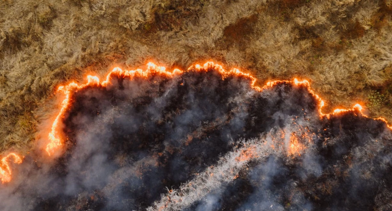 The AI Fighting Wildfires Before They Become Disasters