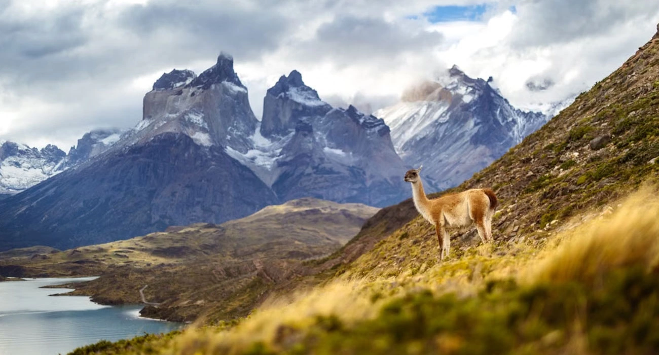 The New Eco-Tourism Model: When Protecting Nature Becomes Part of the Travel Experience