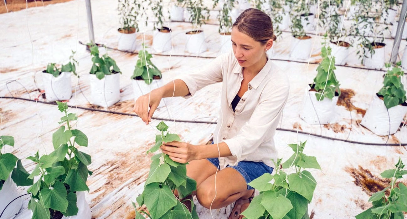 The Next Generation of Food Innovation Is Coming From Young Entrepreneurs