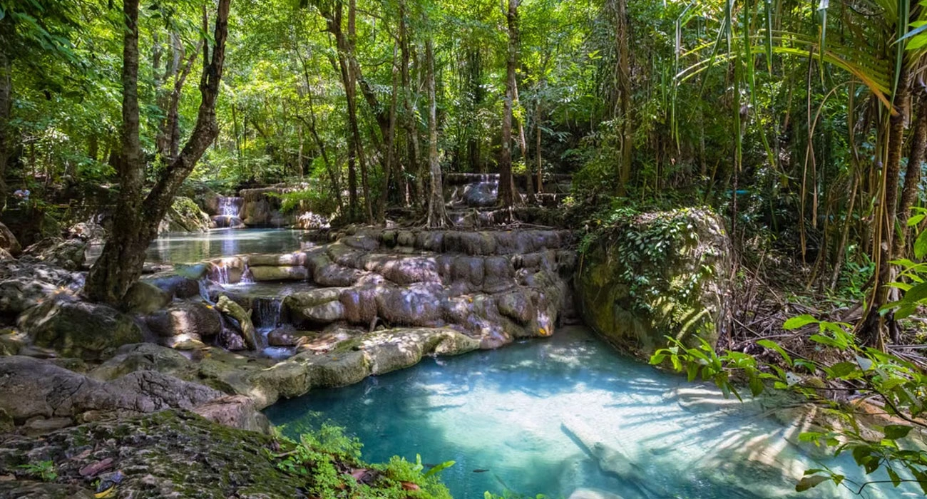 Can Biodiversity Become Investable? The Rise of Nature Finance
