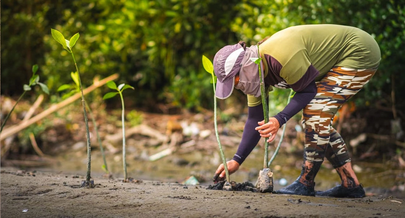 The Ocean Innovation Economy: Turning Coastal Challenges Into Business Opportunities