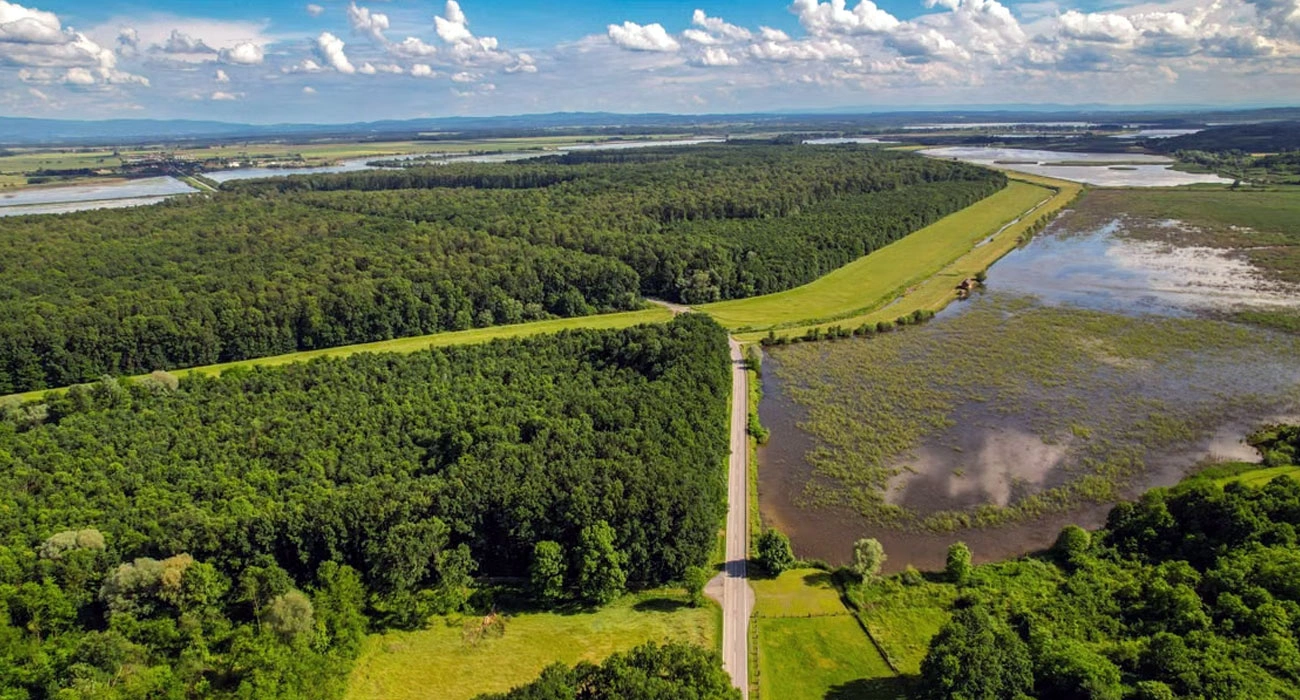 The Nature Finance Gap: Why Protecting Ecosystems Is Also an Economic Challenge